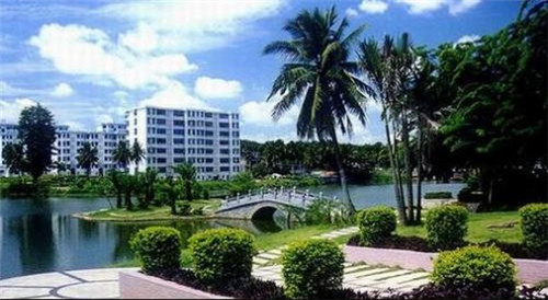 超级鸡排加盟在德宏要求多吗，德宏生意好的炸鸡加盟店都有哪些